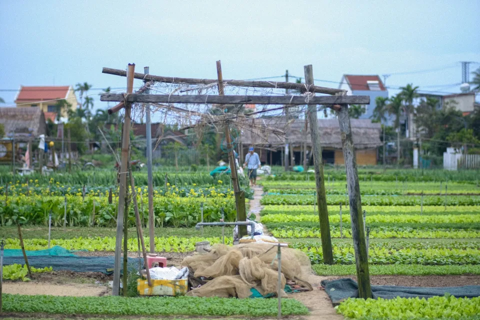 Chất lượng là thứ chúng tôi không tiết kiệm